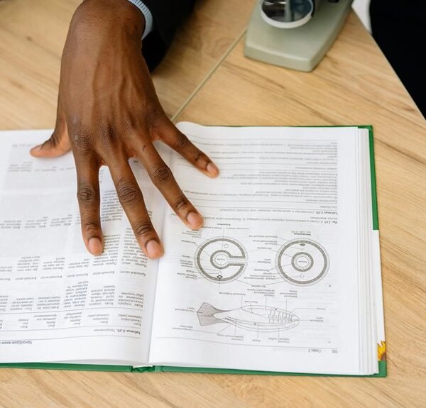 smart online tool overview